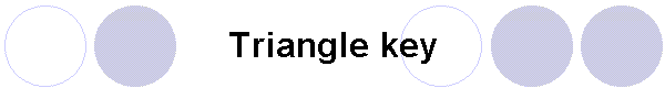 Triangle key
