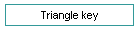 Triangle key