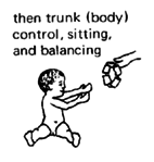 Trunk(body) control, sitting, and balancing.