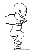 Hold the baby to use the early stepping reflex to strengthen her legs.