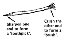 A stick from a Neme tree or other non-poisonous plant.