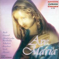 CD Ave Maria - Die Schoensten Marienvertonungen