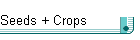 Seeds + Crops