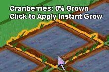 cranberries - 0%
