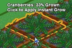 cranberries - 33%