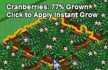 cranberries - 77%