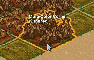withered crops